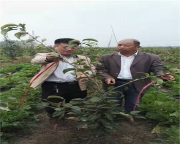 金土地產品品質，我們非常認可